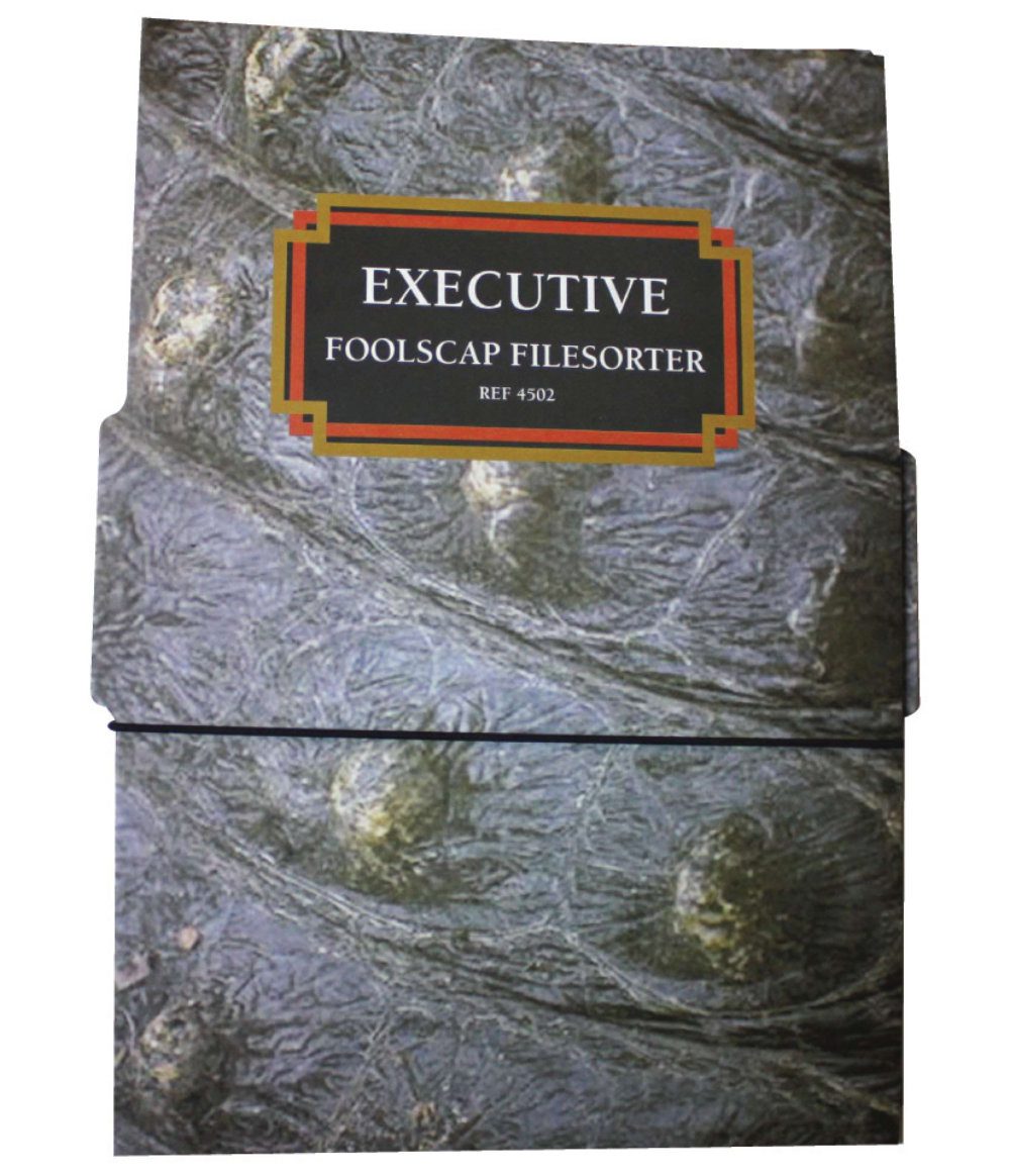 Executive F-S cover 1