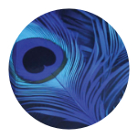 FEATHER DESIGN