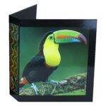 BIRD COLLECTION